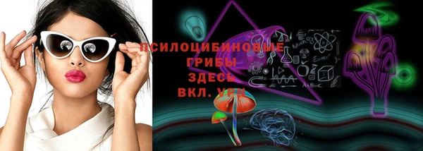 бошки Володарск