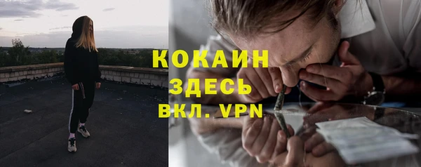 стаф Бронницы