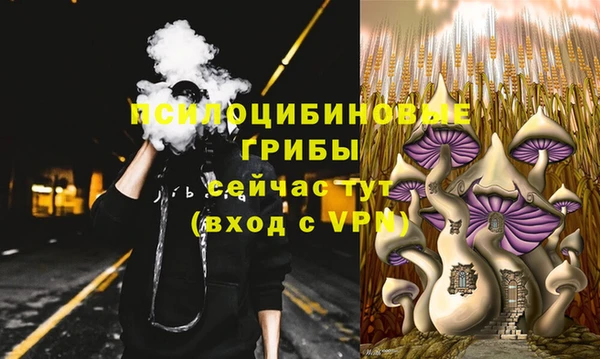 бошки Володарск