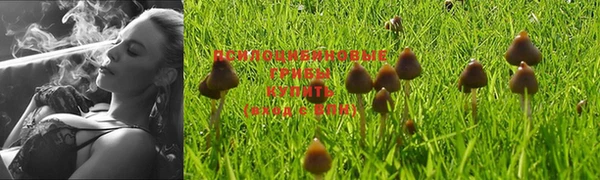apvp Верхний Тагил