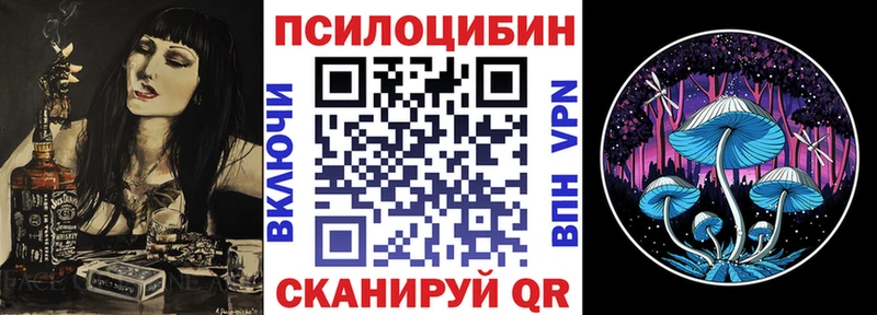 Псилоцибиновые грибы мицелий  Знаменск 